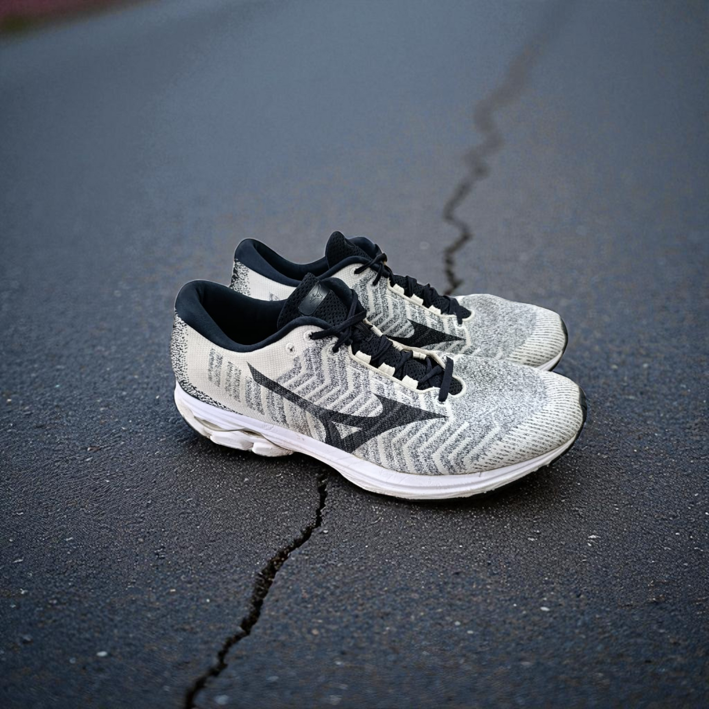 MIZUNO WAVE RIDER (Size 48.5/UK 13)