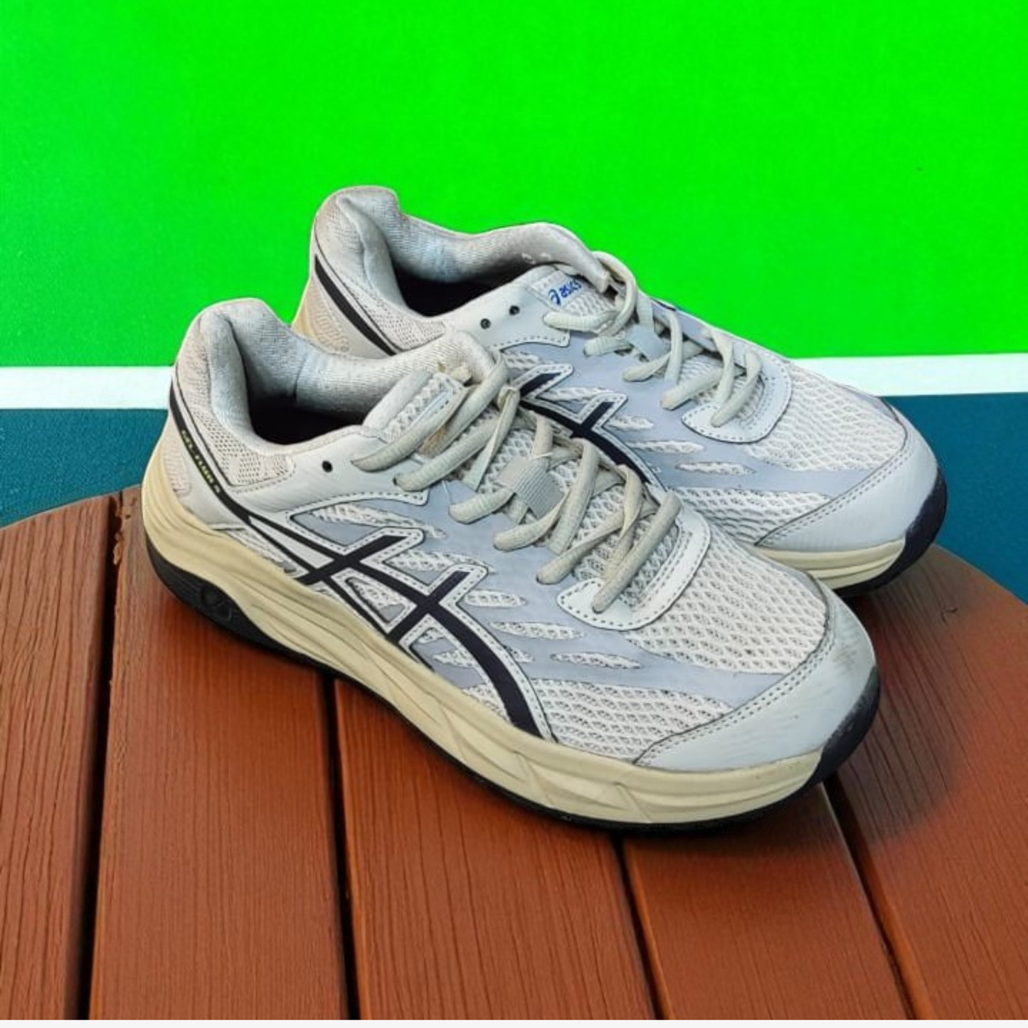 Asics (Size 39/UK 6)
