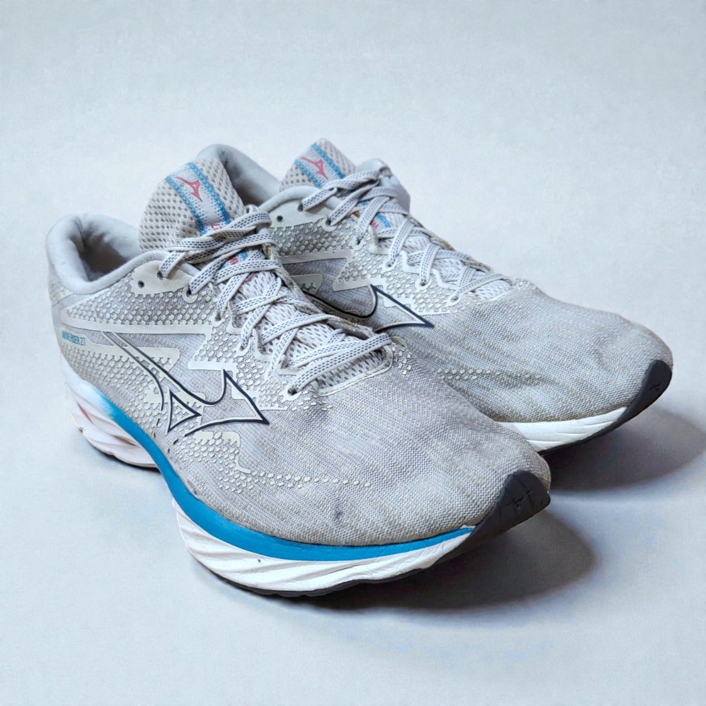 Mizuno Wave Rider (Euro 46/UK 11)